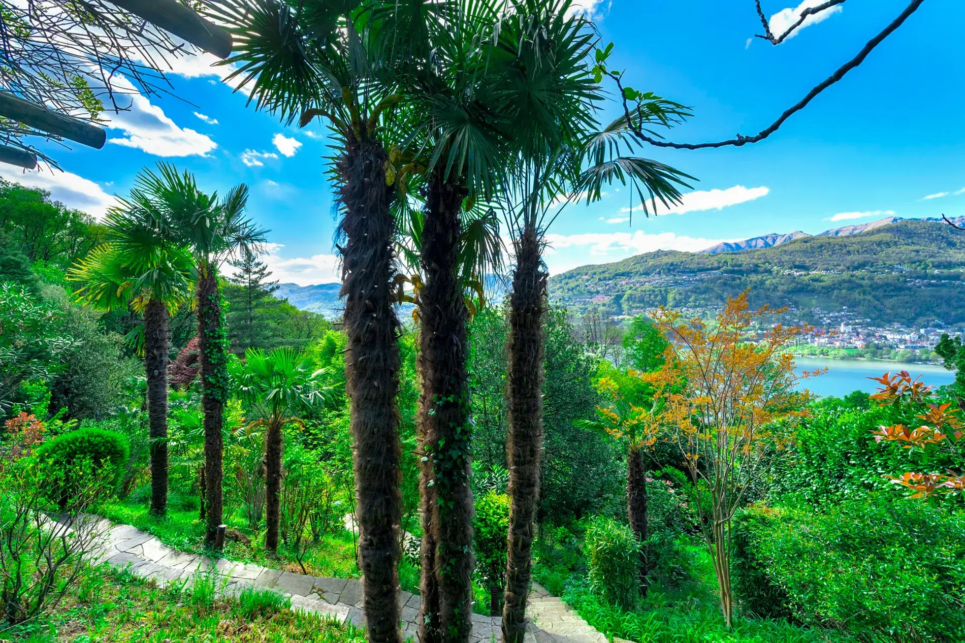 Laura Aguilera Villa With Stunning Views Of Lake Lugano And Extensive Private Grounds